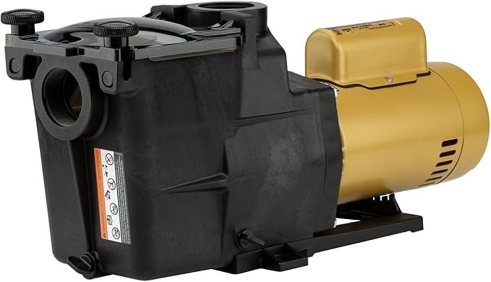 hayward 1 hp pump