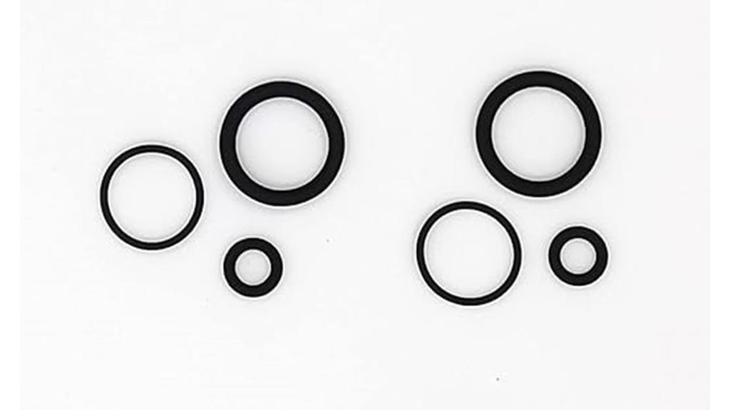 pool filter air valve o ring