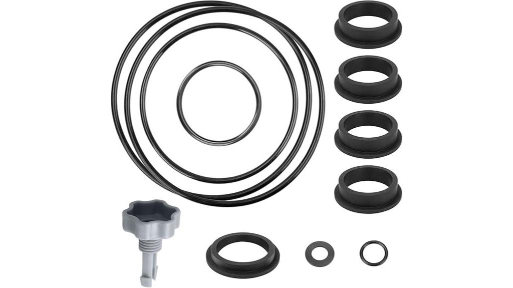 pool filter pump gasket