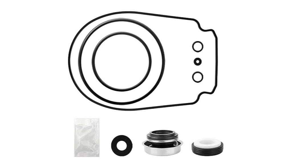 pool pump o ring kit