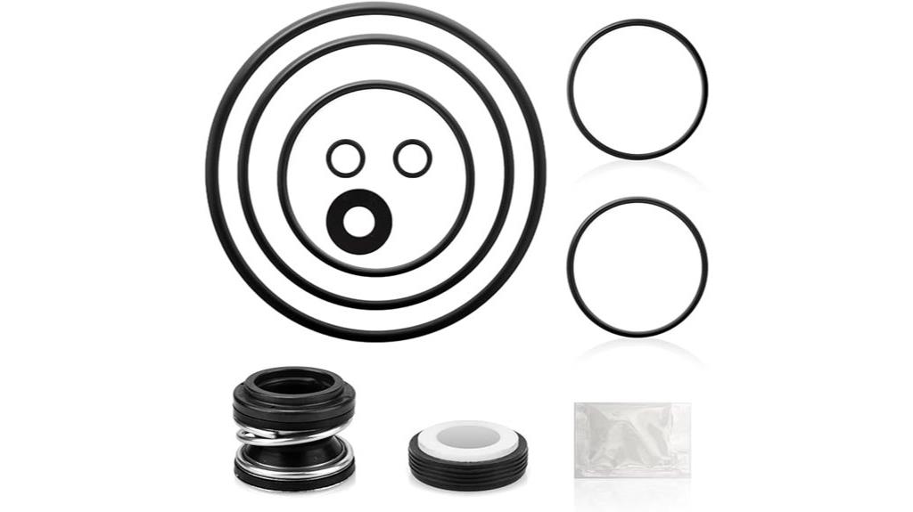 pool pump o ring kit