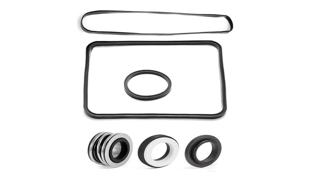 pool pump seal kit