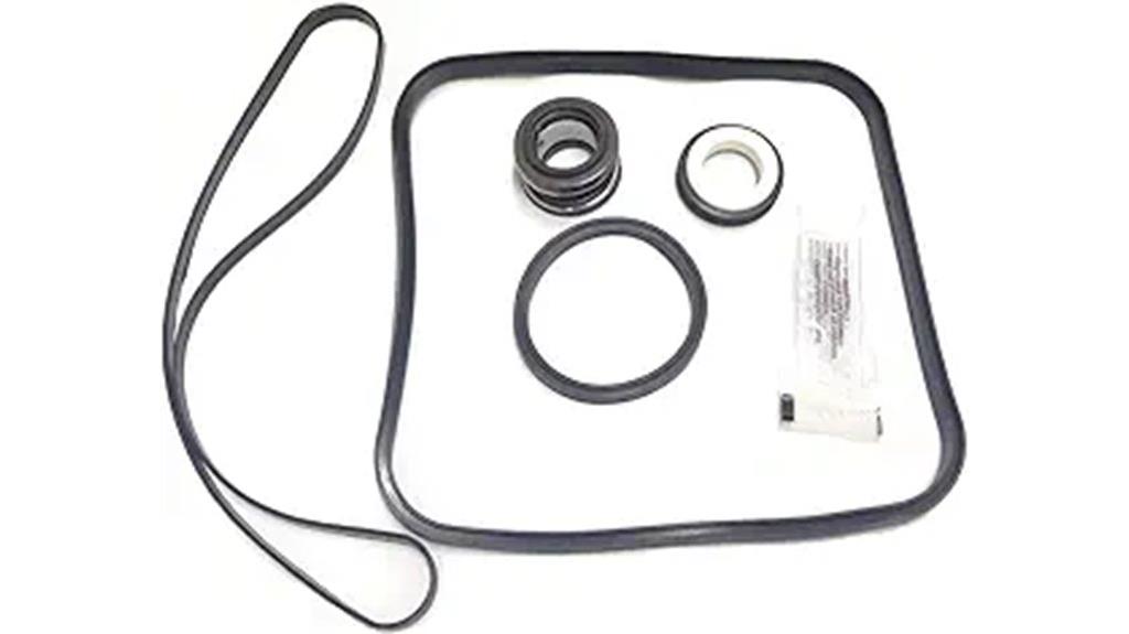 pool pump seal kit