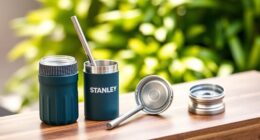 top stanley tumbler add ons