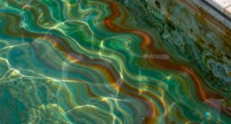 copper and iron staining