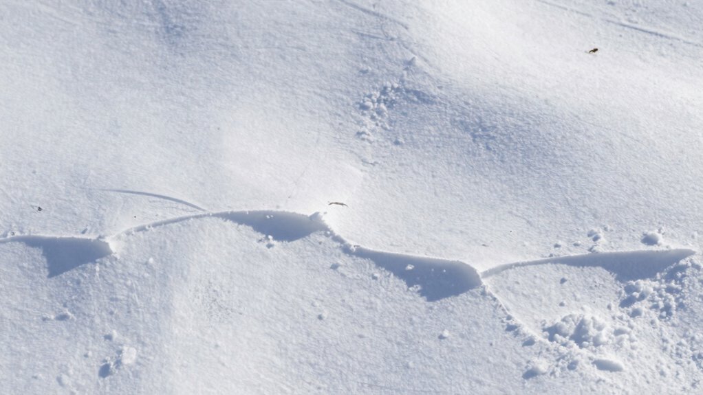 friction causes cover wear