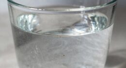 micron filtration water clarity