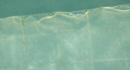 biofilm causes persistent contamination