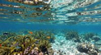 critical water safety visibility