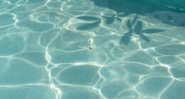 hidden factor reducing chlorine