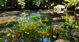 microbial balance in pools