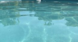 pool water mineral content