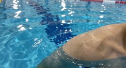 swimmers increase water contamination