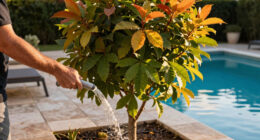 These 7 Gorgeous Small Shade Trees Create a Cooling Canopy, Vibrant Summer Color and Multi-Season Beauty