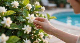 These 7 Night-Scented Flowers Make Your Garden Smell Incredible After Dark – Especially In Summer Heat