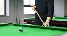 15 Best 10-Ball Pool Cues in 2026