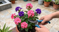 7 Plants to Prune in July Before it’s Too Late – Next Year’s Flowers Depend On the Right Timing