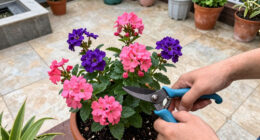 7 Plants to Prune in July Before it’s Too Late – Next Year’s Flowers Depend On the Right Timing