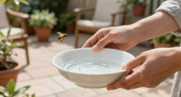 Help Bees Survive the Heat – Turn a Saucer Into a Summer Lifeline in Just Minutes
