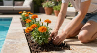Marigolds Were Already The Ultimate Summer Flower – But It Turns Out They Have A Surprising Superpower