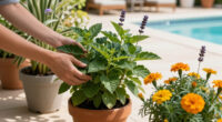 Mosquitoes Love Hiding in These 6 Types of Plants During Summer Heat – How to Keep Your Yard Bug-Free If You Already Grow Them