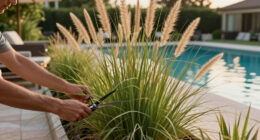 10 Best Easy-to-Grow Ornamental Grasses That Add A Professional Polish To Your Backyard