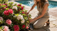 Azaleas And Rhododendrons Need This One Thing In Late Summer For Maximum Blooms Next Year