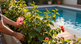 These 8 Gorgeous Fast-Growing Privacy Plants Create A Sanctuary Of Color, Texture And Fragrance Before Fall