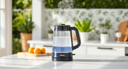 Beat the Heat with the Ninja KT200BL Precision Electric Kettle