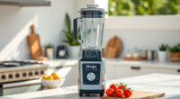 Beat the Summer Heat with the Ninja Professional Blender