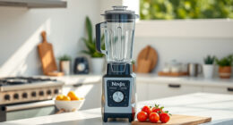 Beat the Summer Heat with the Ninja Professional Blender