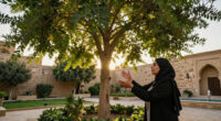 Cairo Denies Cutting Ancient Cypress Tree In Maadi