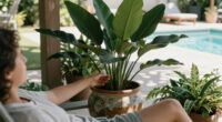 Every Houseplant Collection Needs One Plant That Thrives On Neglect – Here Are 3 Of The Best