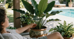 Every Houseplant Collection Needs One Plant That Thrives On Neglect – Here Are 3 Of The Best