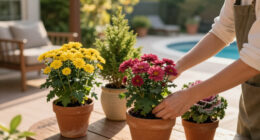 Fill Patio Pots With Vibrant Plants That Last From Fall Into Winter For A Wonderfully Colorful Cool-Season Display