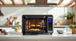 Keep Your Summer Feasts Crispy with the Ninja Foodi XL Pro Air Oven Accessories