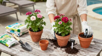Monrovia Presents Garden Design Trends For 2027