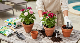 Monrovia Presents Garden Design Trends For 2027