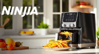 Ninja Foodi 10 Quart DualZone XL Air Fryer: The Ultimate Summer Kitchen Companion