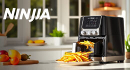 Ninja Foodi 10 Quart DualZone XL Air Fryer: The Ultimate Summer Kitchen Companion