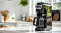 Ninja Hot & Iced XL Coffee Maker: Summer Coffee Versatility