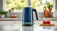 Ninja KT200BL Precision Temp Kettle: Perfect Summer Sips