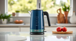 Ninja KT200BL Precision Temp Kettle: Perfect Summer Sips