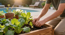 Stop Growing These 6 Vegetables In The Ground – They Grow Better In Containers For Longer, Tastier Harvests