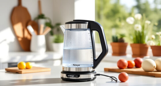 Summer Care Tips for the Ninja KT200BL Precision Temperature Electric Kettle