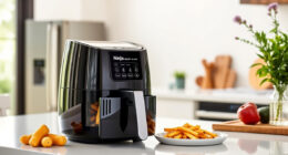 Summer Care & Troubleshooting for Your Ninja Crispi Glass Air Fryer