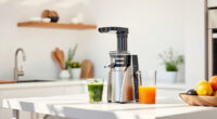 Summer Refresh: Must-Have Accessories for Your Ninja NeverClog Juicer