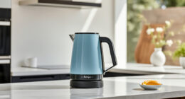 Summer Sips Made Perfect: Ninja KT200BL Electric Kettle Tips & Hacks