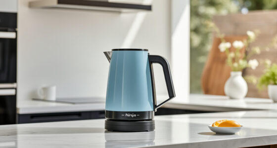 Summer Sips Made Perfect: Ninja KT200BL Electric Kettle Tips & Hacks