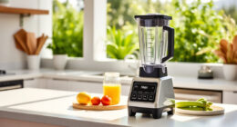 Summer Smoothies Made Easy with the Ninja Professional Blender